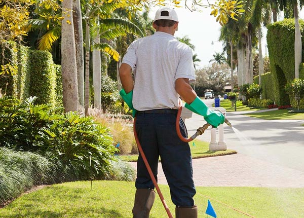About Avila Beach CA Pest Control Pros